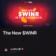 The New $WINR