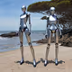 Robo Twins