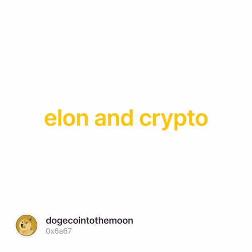 elon and crypto 2/500