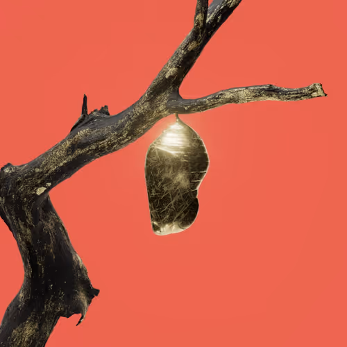 a lot - Golden Egg