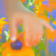 Remint of 0x3bf96afe2291d76f2934350624080faefeec9a46 Token ID 3