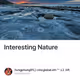 Interesting Nature V2