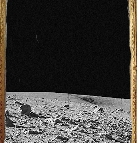 Birbs on the Moon-test1