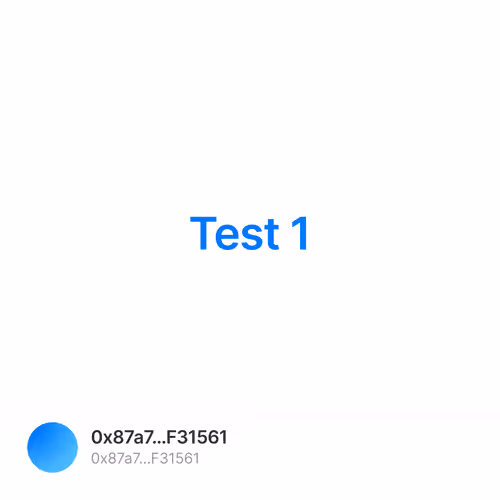 Test 1 1/500