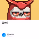 Owl - 6YTjGz29eg