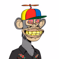 Optiape #2854