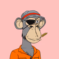 Optiape #6608