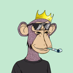 Optiape #3776