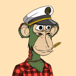 Optiape #2378