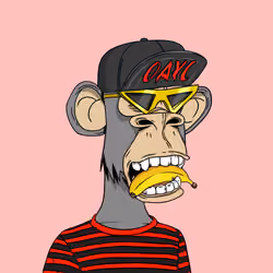 Optiape #48