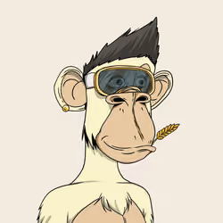 Optiape #1089