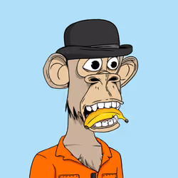 Optiape #3738