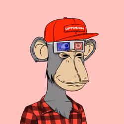 Optiape #8