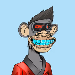 Optiape #6331