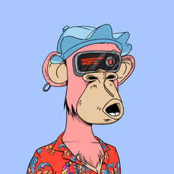 Optiape #6492