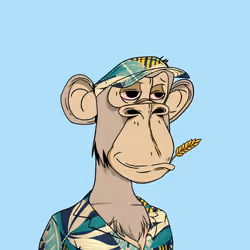 Optiape #2922