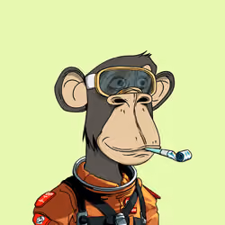 Optiape #53