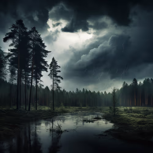 Dense forest