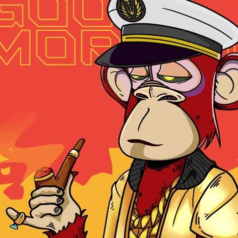 Ape Adventures