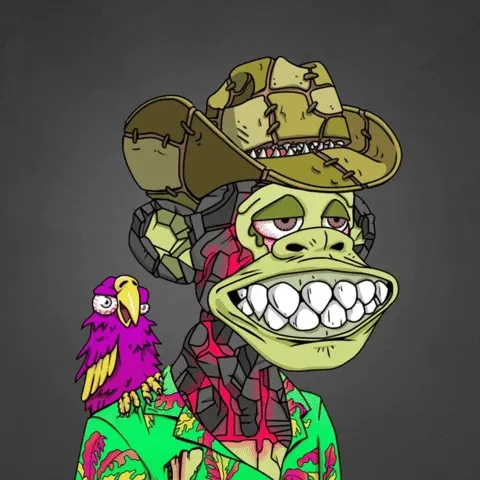 Ape Adventures