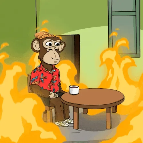 Ape Adventures
