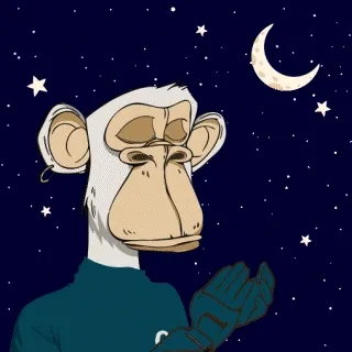 Ape Adventures