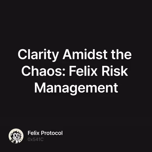 Clarity Amidst the Chaos: Felix Risk Management 1