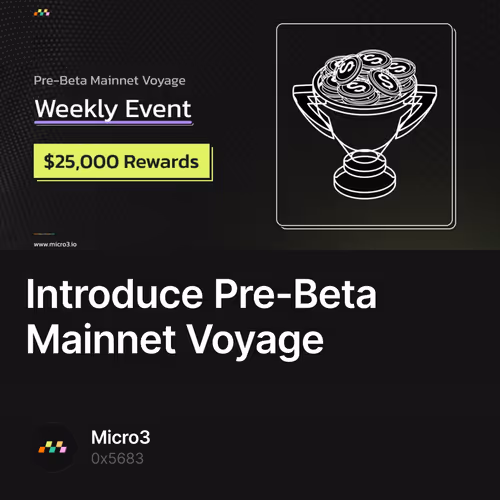 Introduce Pre-Beta Mainnet Voyage 30