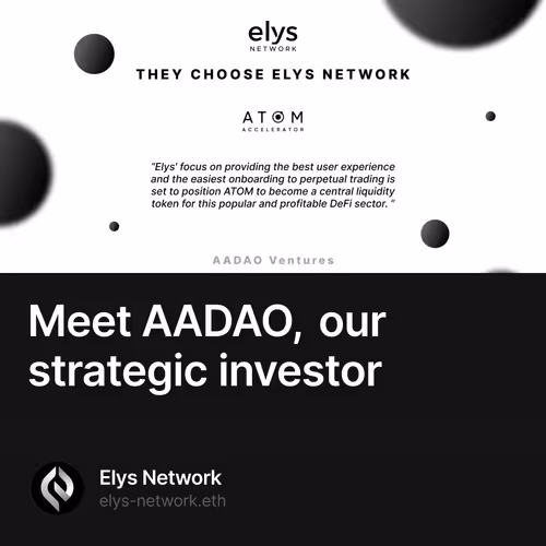 Meet AADAO, our strategic investor 15