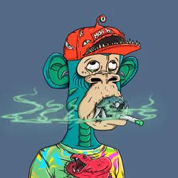 5254