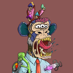 6628