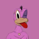 MEME DUCKS