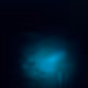 Glowing rhino