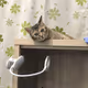 SuperCat