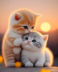 cute❤️