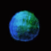 Luminaries (real photos of stars)