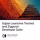 Uqbar Launches Testnet and Ziggurat Developer Suite
