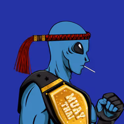 OP Muay Thai #105