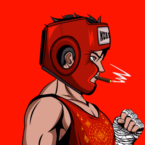 OP Muay Thai #14