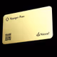 Vaissel Voyager Pass