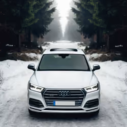 CARS
