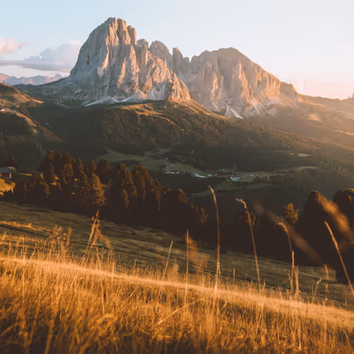 Remint of 0xa0230cb617c6768b3166dde9ccd591088031a835 Token ID 3