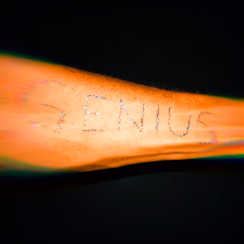G.E.N.I.U.S (Intrumental)