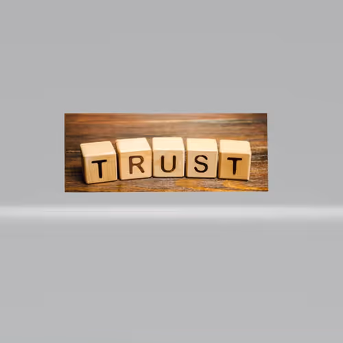 The Trust 0f Zora on Optimism 8/100