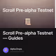 Scroll Pre-alpha Testnet — Guides