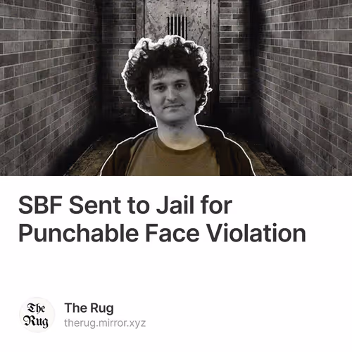 SBF Sent to Jail for Punchable Face Violation 3