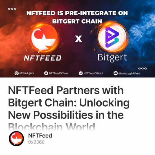 NFTFeed Partners with Bitgert Chain: Unlocking New Possibilities in the Blockchain World 37