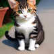 gato