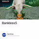 Bankless5