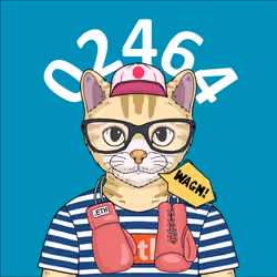 Catens 2464